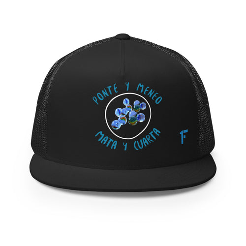 Juego De Bellugas ''Gorra tipo trucker''