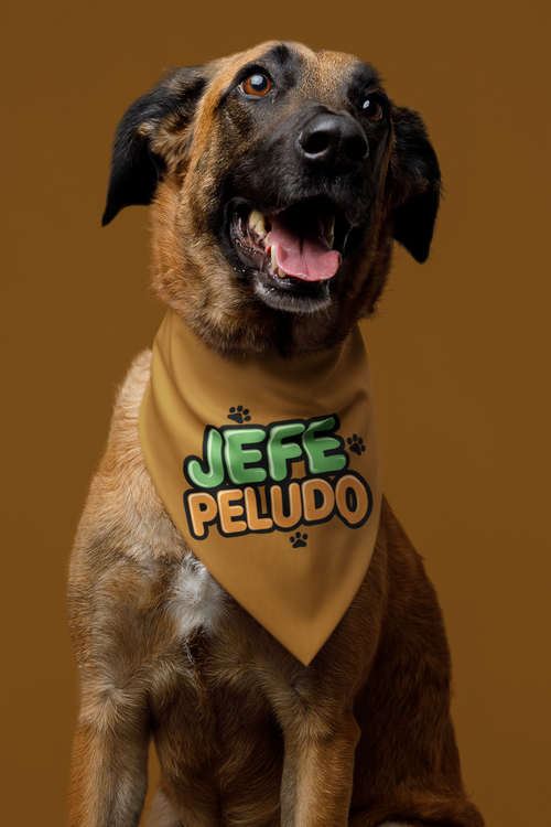 jefe peludo - size S ''Collar de pañuelo para mascotas''