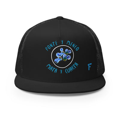 Juego De Bellugas  ''Gorra tipo trucker''